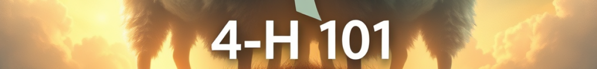 4-H101.com